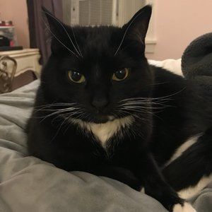 Meet your Posher, Victoria